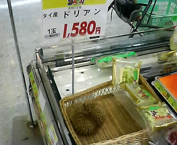ドリアン上陸!