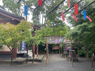 まだまだ出逢いを求めていきます まだまだ出逢いを求めていきます