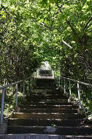 森の神額 森の神額