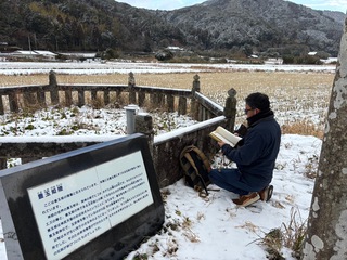 夢の確認へ 夢の確認へ