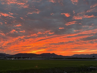 やはり思いやり やはり思いやり