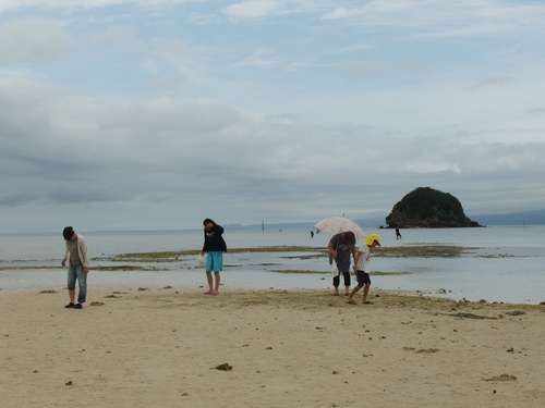 今日の海 今日の海