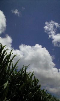 ニライカナイ☆ 2008/06/30 01:24:17