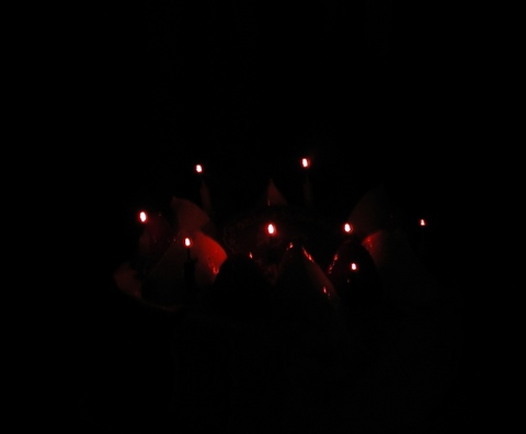 ありがとう