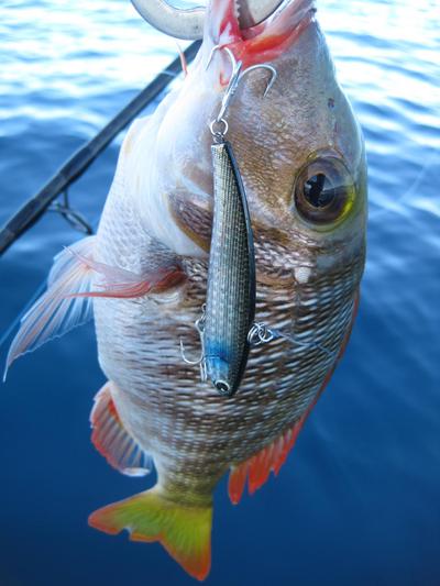 チャゲアスfishing