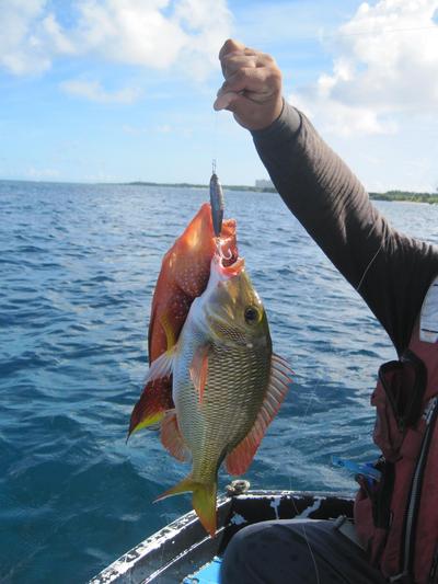 チャゲアスfishing