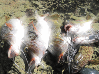rikie fishing tour♪
