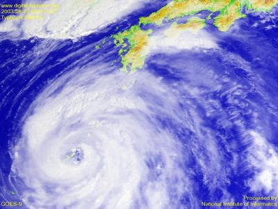 頼れる天気予報サイト求む