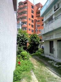 ゆり？ 2008/06/11 21:23:23