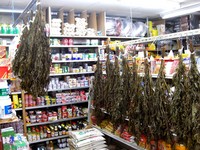 カバサンギー・ヤマクニブー 2008/06/19 01:02:38