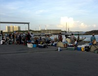 2008はごろもカップ沖釣り大会！ 2008/07/01 01:39:14