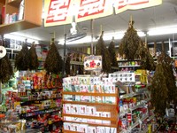 今年　ラスト！・・・ 2008/07/02 18:52:50