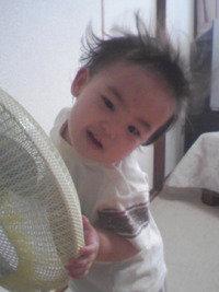 いないいないばぁ～ 2008/05/28 21:58:18