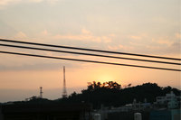 電子 2008/05/06 13:41:36