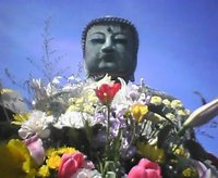 旅～♪ 2008/03/13 10:07:37