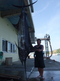 大物カジキ 2009/07/23 17:04:28