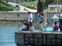 夏休み 2009/08/05 11:06:41