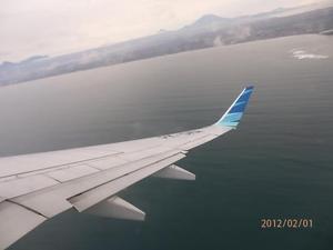 インドネシア採集記