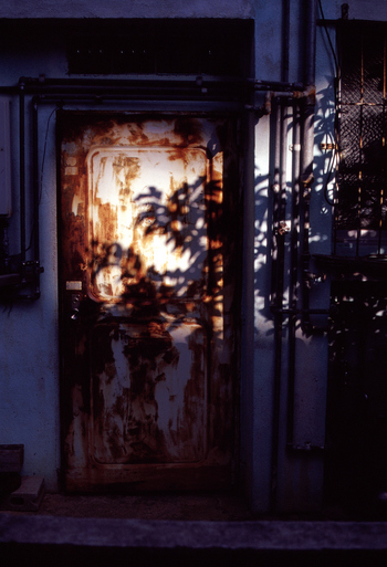 Todays photo68