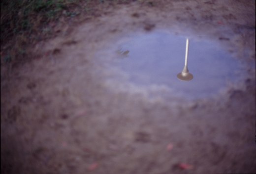 Todays photo46