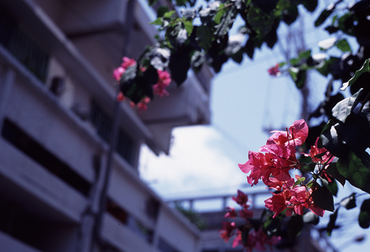 Todays photo150