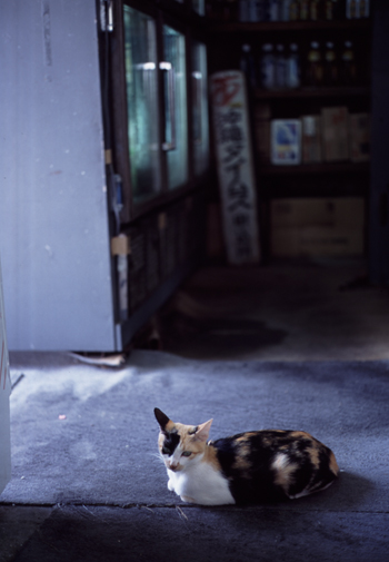 Todays photo144
