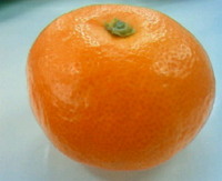 高級みかん
