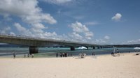 赤い月の13日間、ダルビッシュと古閑美保さん 2012/04/08 10:49:48