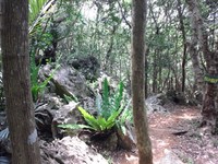 大石林山 2012/05/14 09:08:22