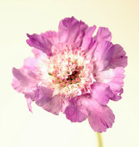Today's マヤ 2012/04/19 07:59:41
