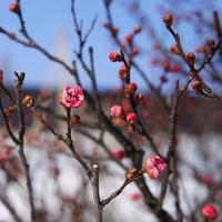 Today'sマヤ 2012/04/01 12:27:16