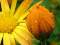 Today's マヤ 2012/05/17 17:27:57