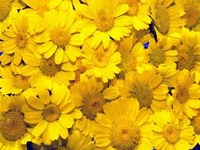 Today's マヤ 2012/05/10 09:23:48