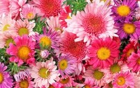 Today's マヤ 2012/05/11 08:20:16