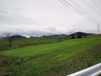 Today's マヤ 2012/05/03 10:14:41
