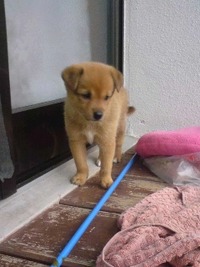 さ よ な ら
