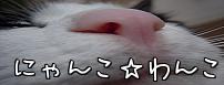 我が家の愛するペット達~♪