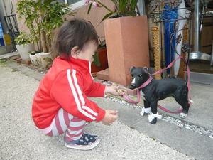 コーヒーショップのわんちゃん