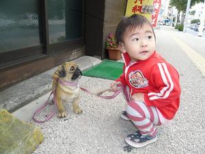 そばやのわんちゃん