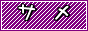 サメだよ。怖いよぉぉ・・