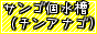 チンアナゴ