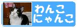 ★我が家のにゃんこ＆わんこ★