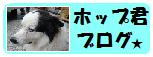 ★愛犬ホップ君のお気楽（おさぼり）ブログダョ！！★