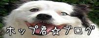 ホップ君のおさぼり日記☆ダヨ