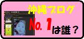 ★”沖縄ブログ”今日の人気ブログランキング№１は誰のブログかな？？
