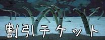 水族館に行く前に・・・・