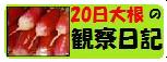 ★家庭菜園・20日大根ができるまで～☆（毎日更新中！！）★
