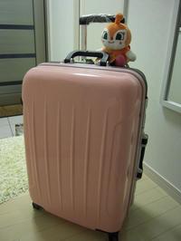 急ですが、旅に出ます。。