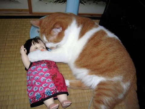 一緒にねんね