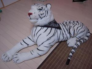 タイガー